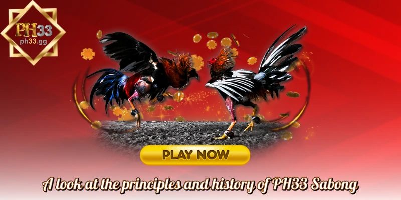 A look at the principles and history of PH33 Sabong