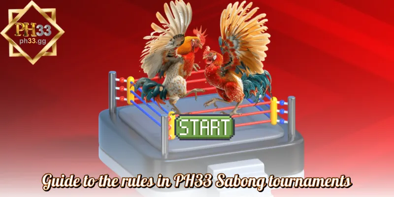 Guide to the rules in PH33 Sabong tournaments