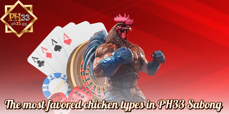 The most favored chicken types in PH33 Sabong