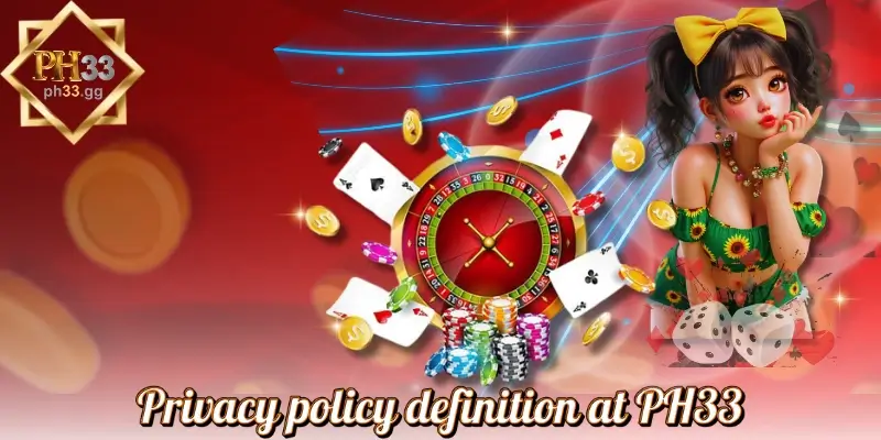 Privacy policy definition at PH33